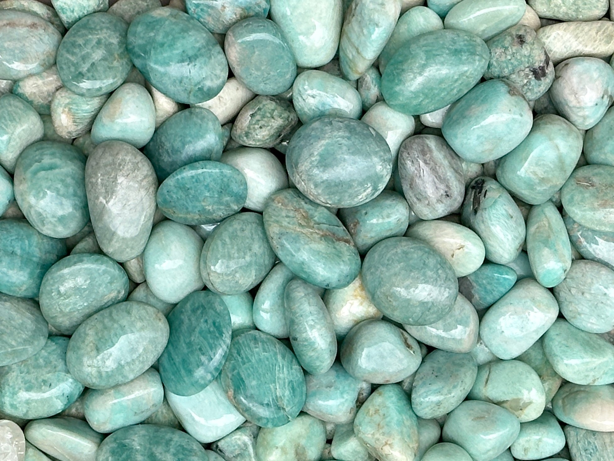 Amazonite - Pack of 3