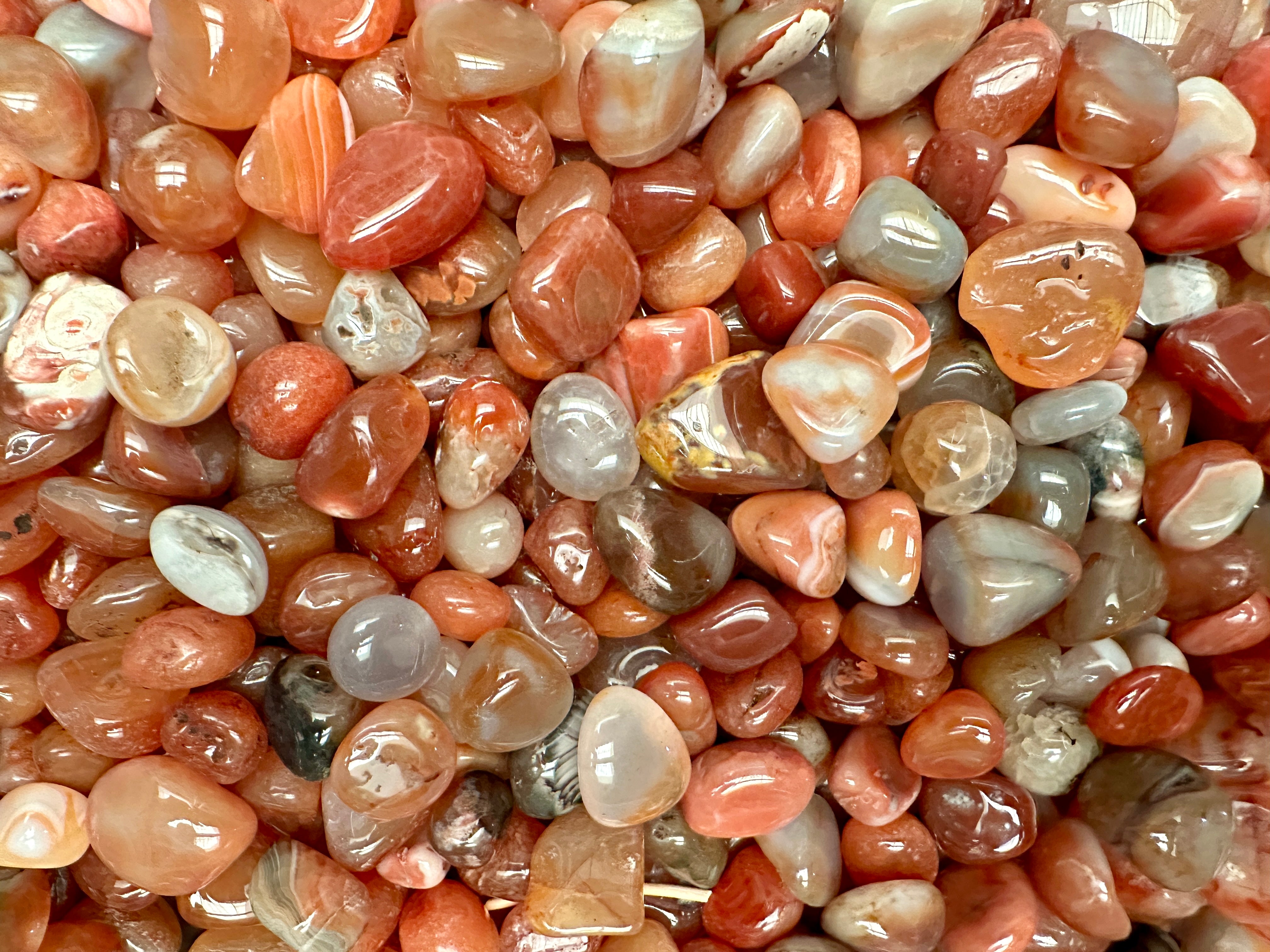 Carnelian - Pack of 3