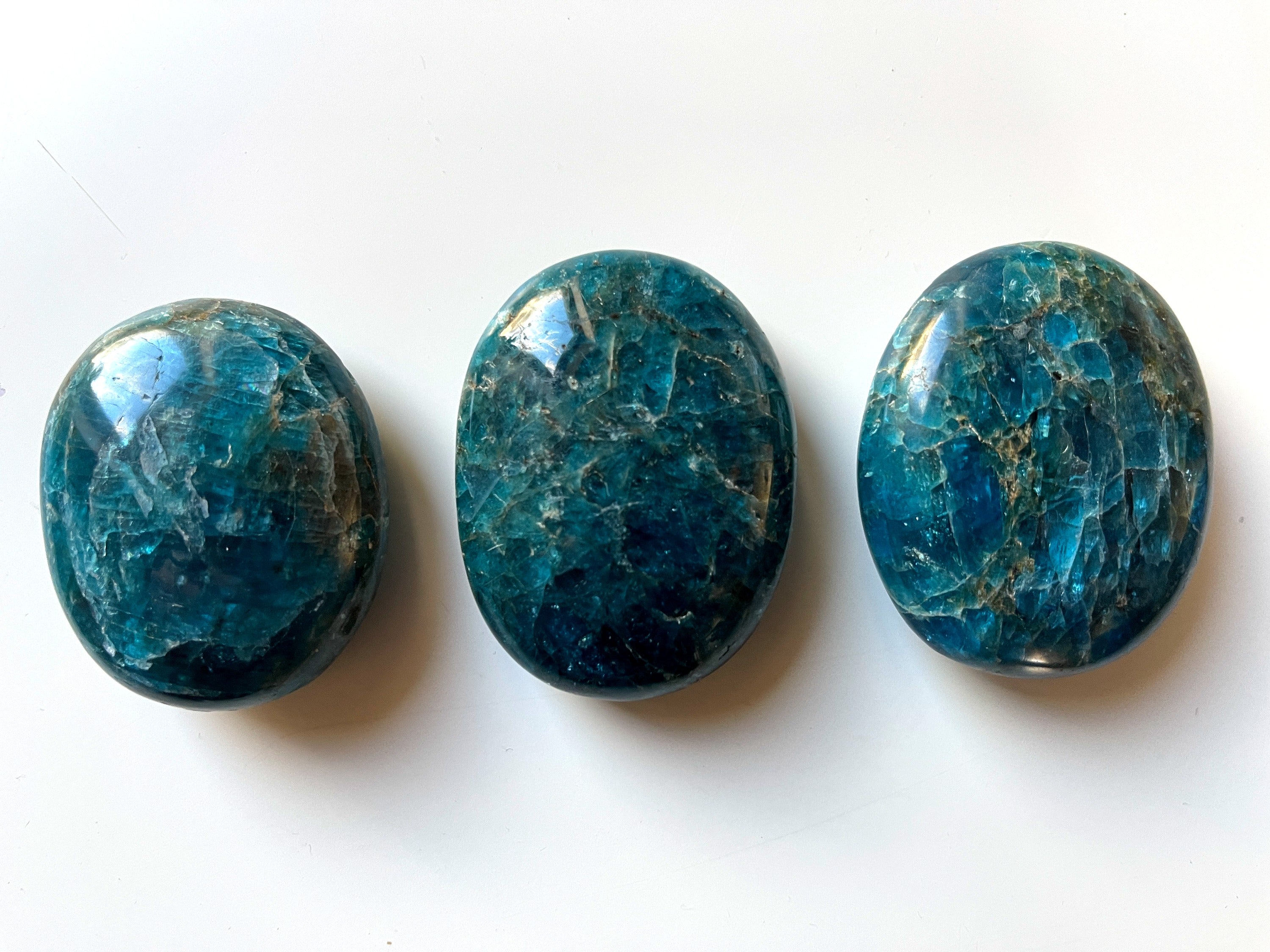 Apatite Palmstone