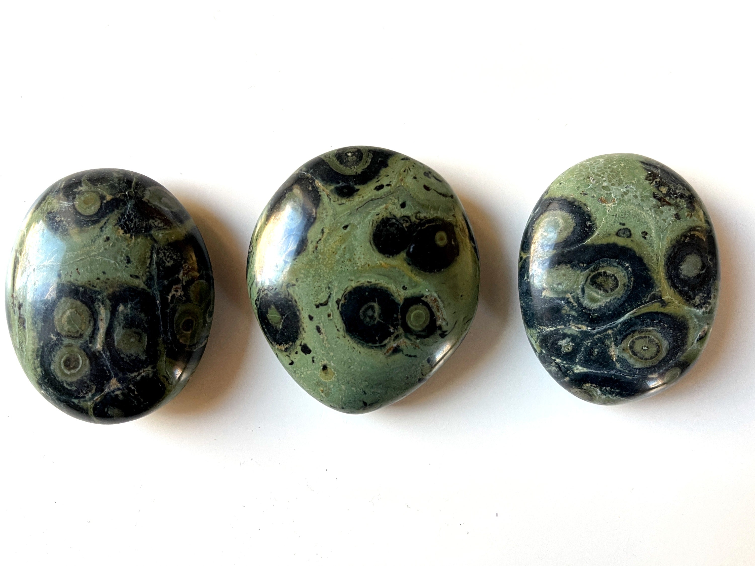 Kambaba Jasper Palmstone