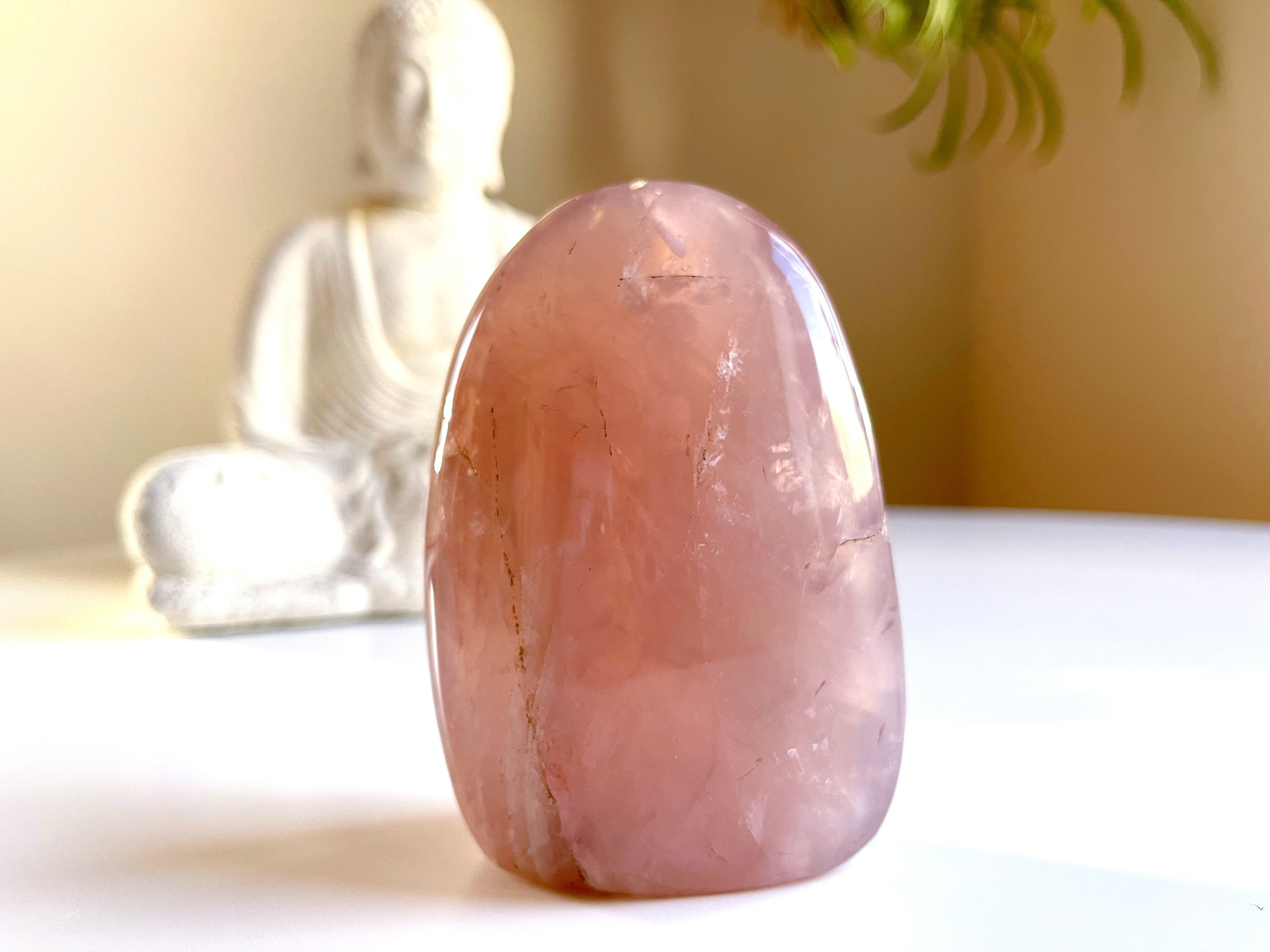 Rose Quartz Free Form