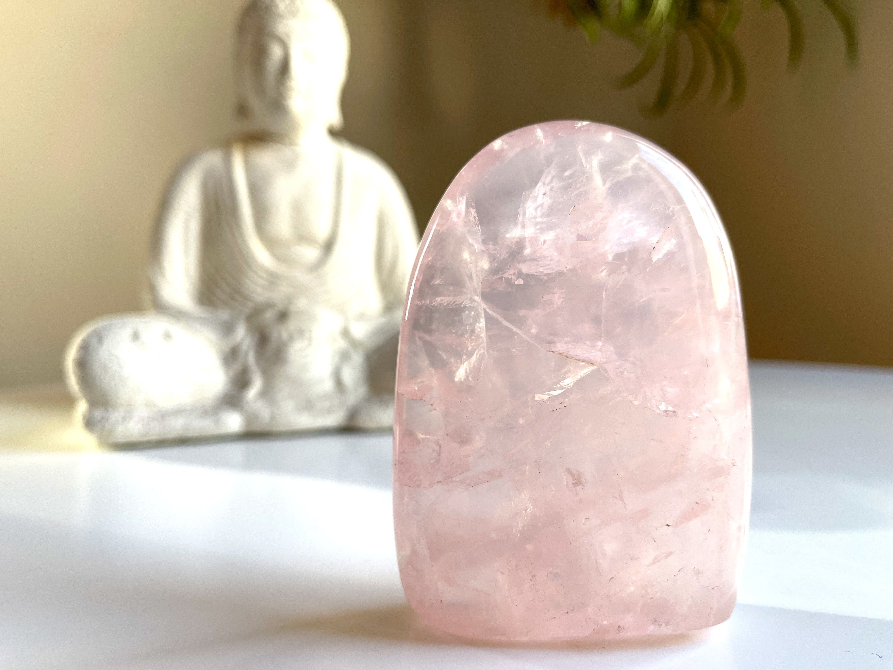 Rose Quartz Free Form