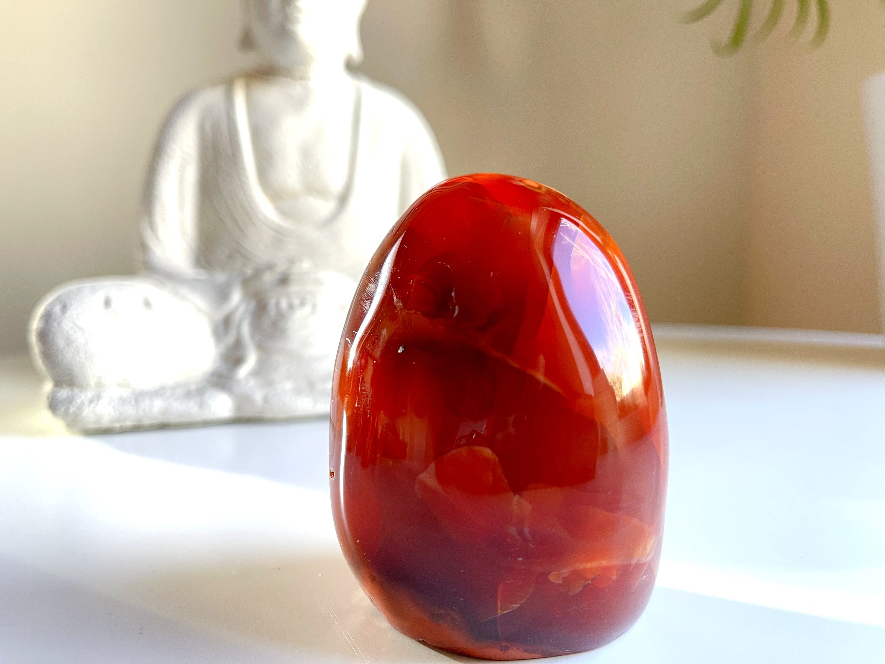 Carnelian Free Form