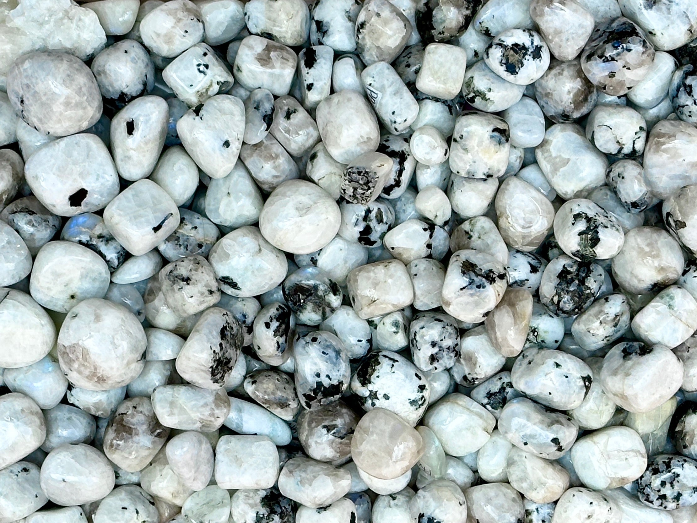 Moonstone - Pack of 3