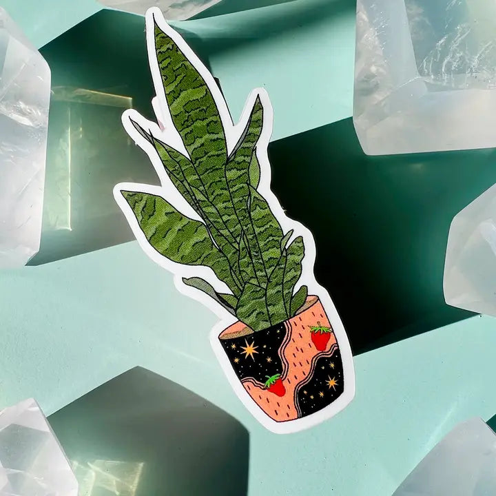 SNAKE PLANT CLEAR STICKER