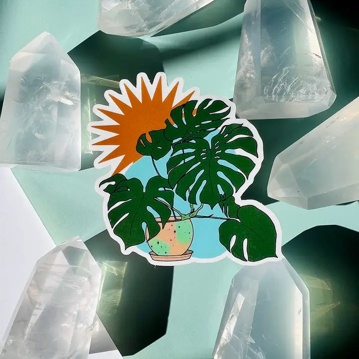MONSTERA PLANT CLEAR STICKER