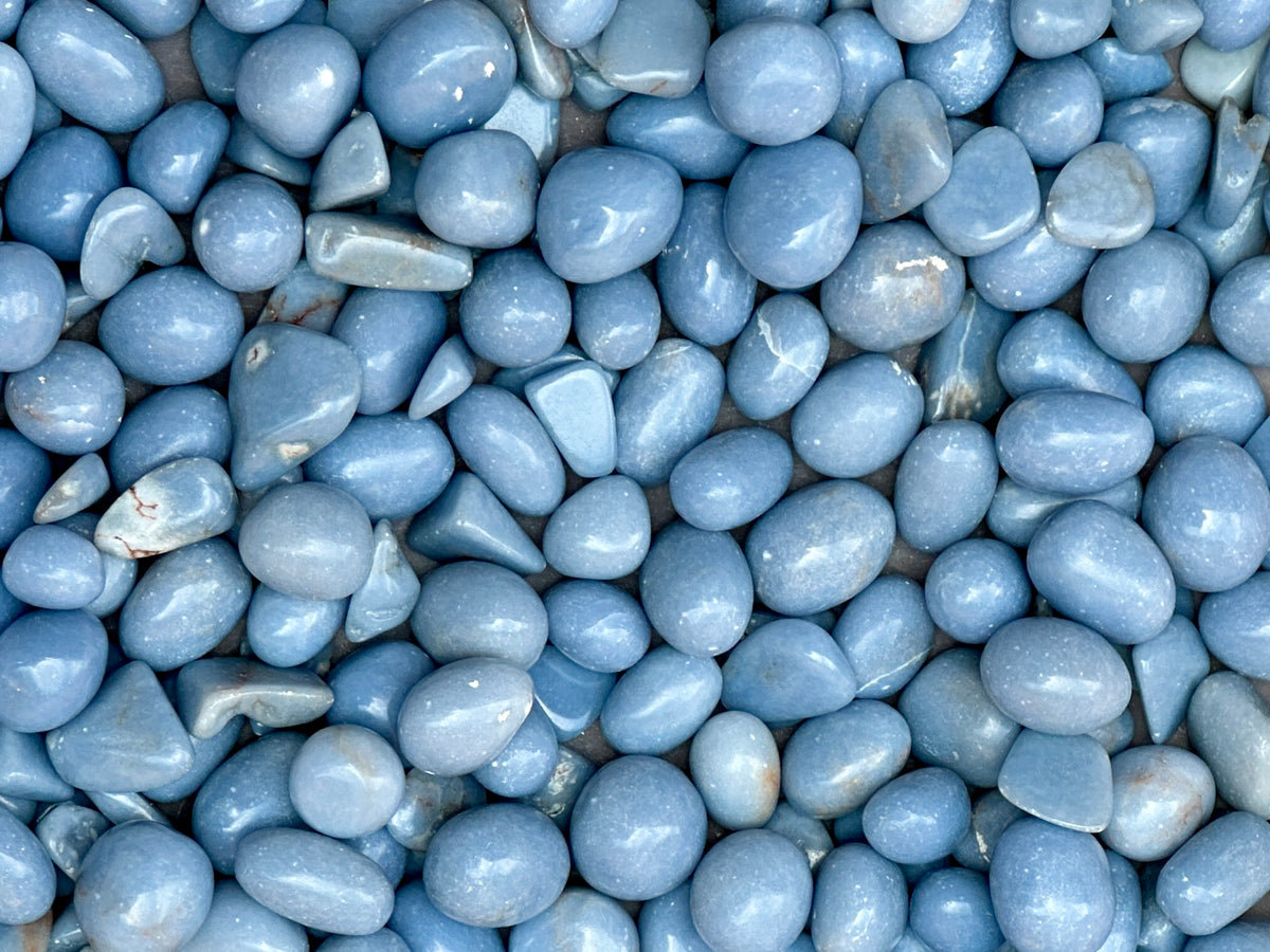 Angelite Color Angelite - Pack of 3