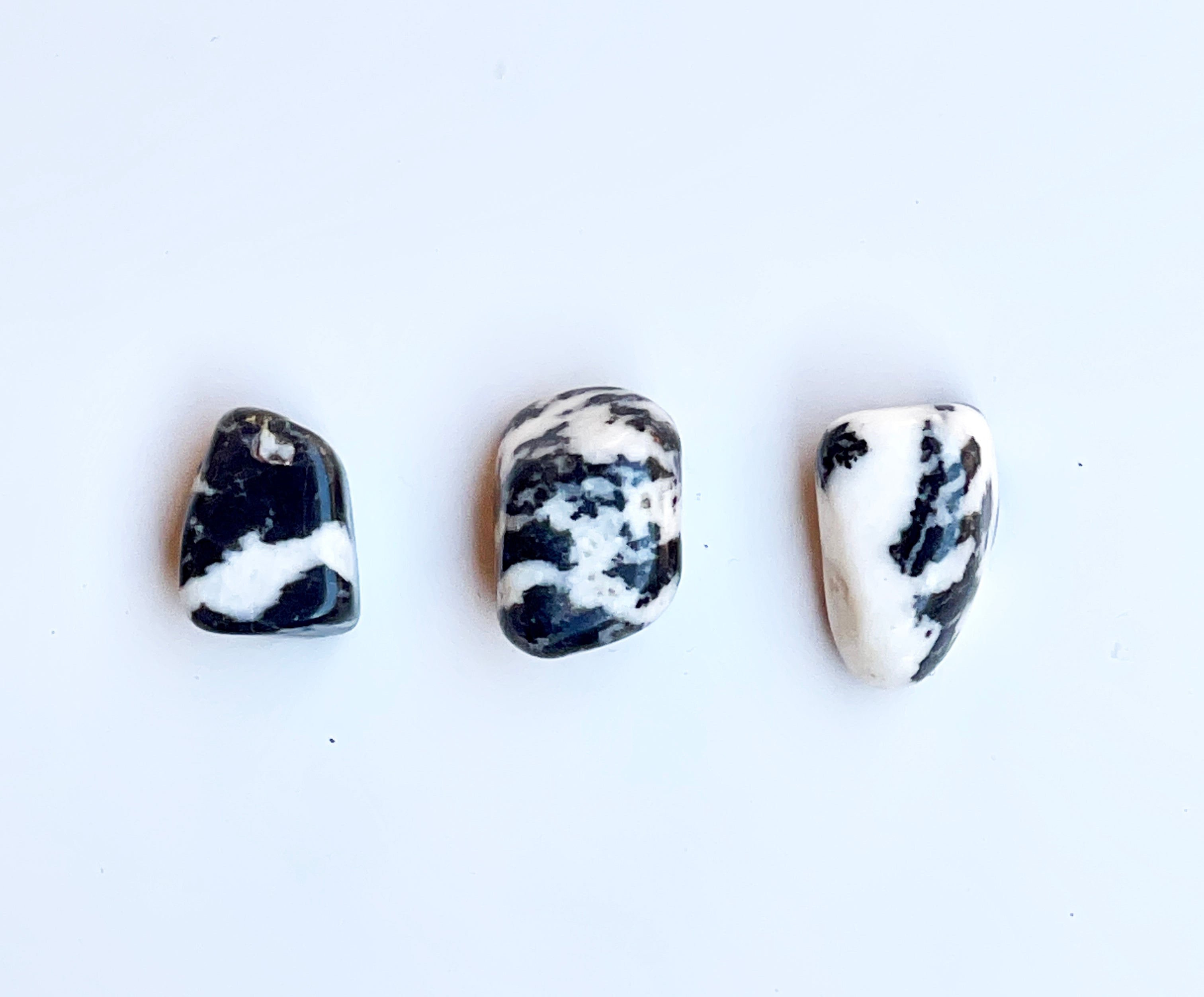 Zebra Jasper - Pack of 3